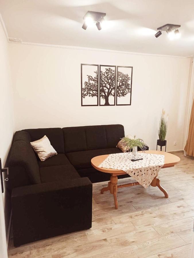 Apartament Centrum Miedzychod Экстерьер фото